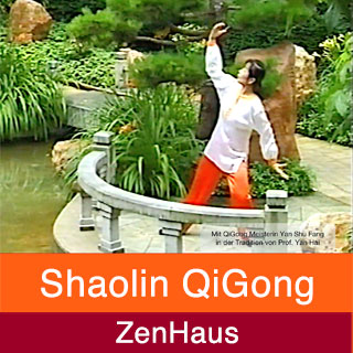 Shaolin QiGong Video kaufen
