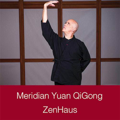 Paojian QiGong Video kaufen